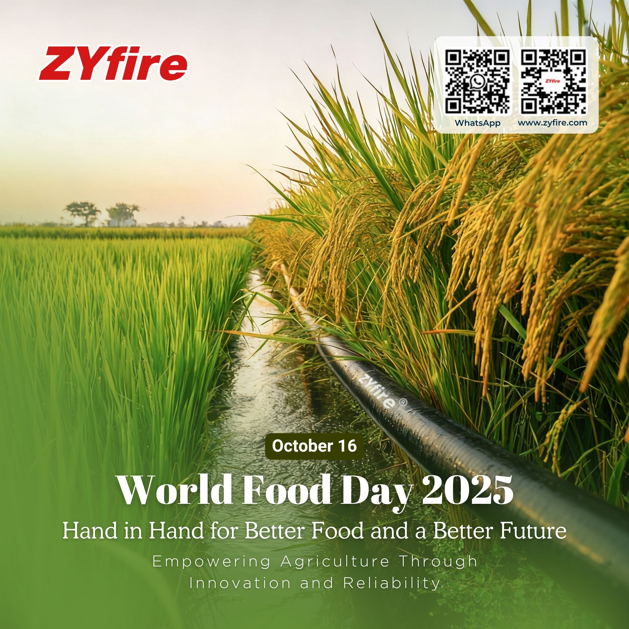 Hand in Hand for Better Food: How Smart Irrigation Nourishes Our Future